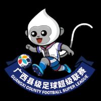 广西县级足球超级联赛 钦州市灵山县队1-2防城港市东兴市队20260301