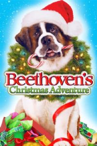 �����ʥ����ð��