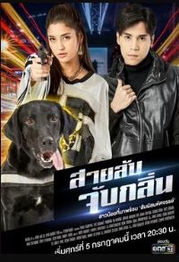 ��̽K9�չ���