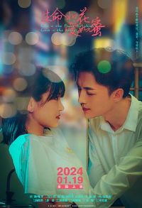 生命如花爱如蜜预告片